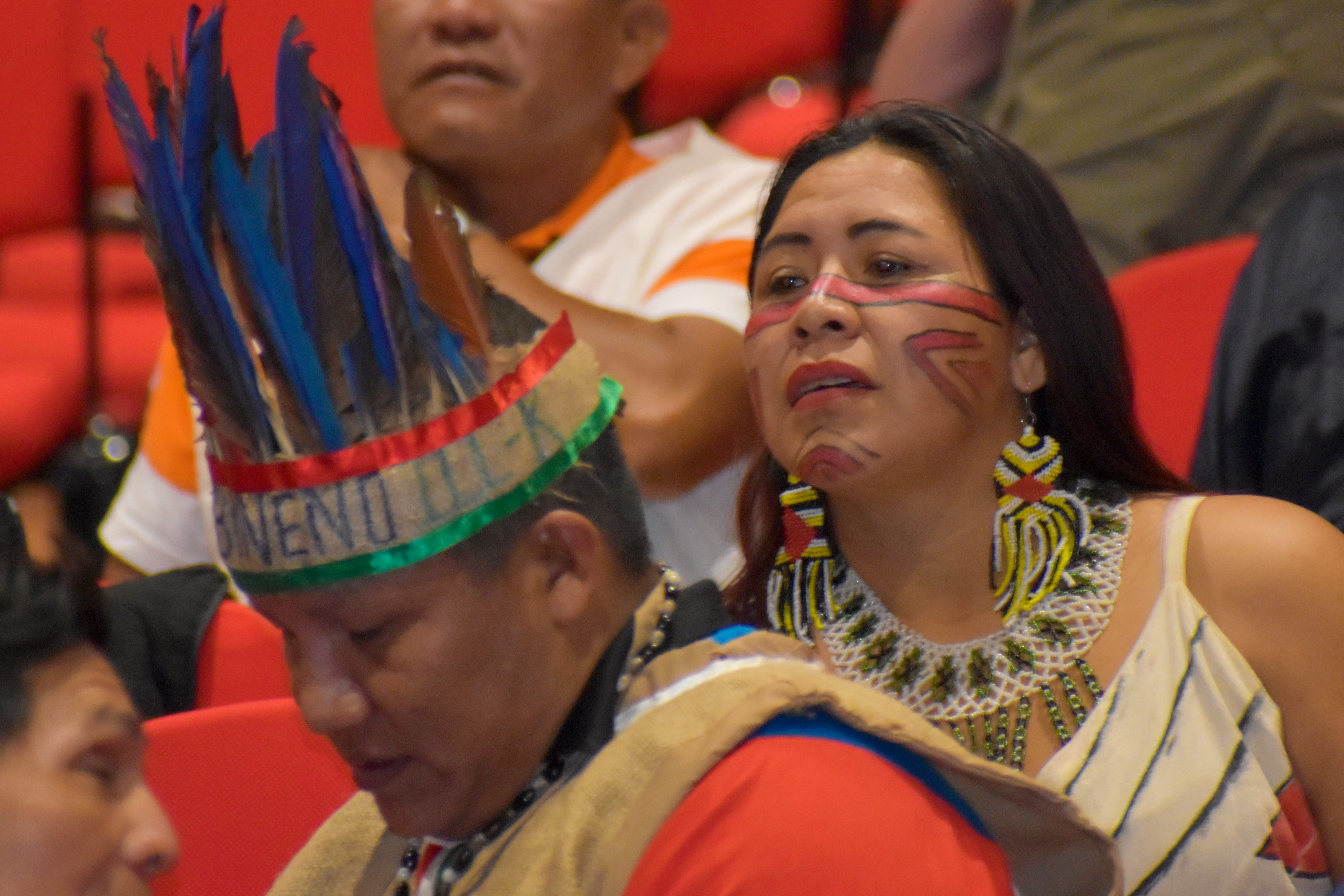 Decenio de Lenguas Indigenas