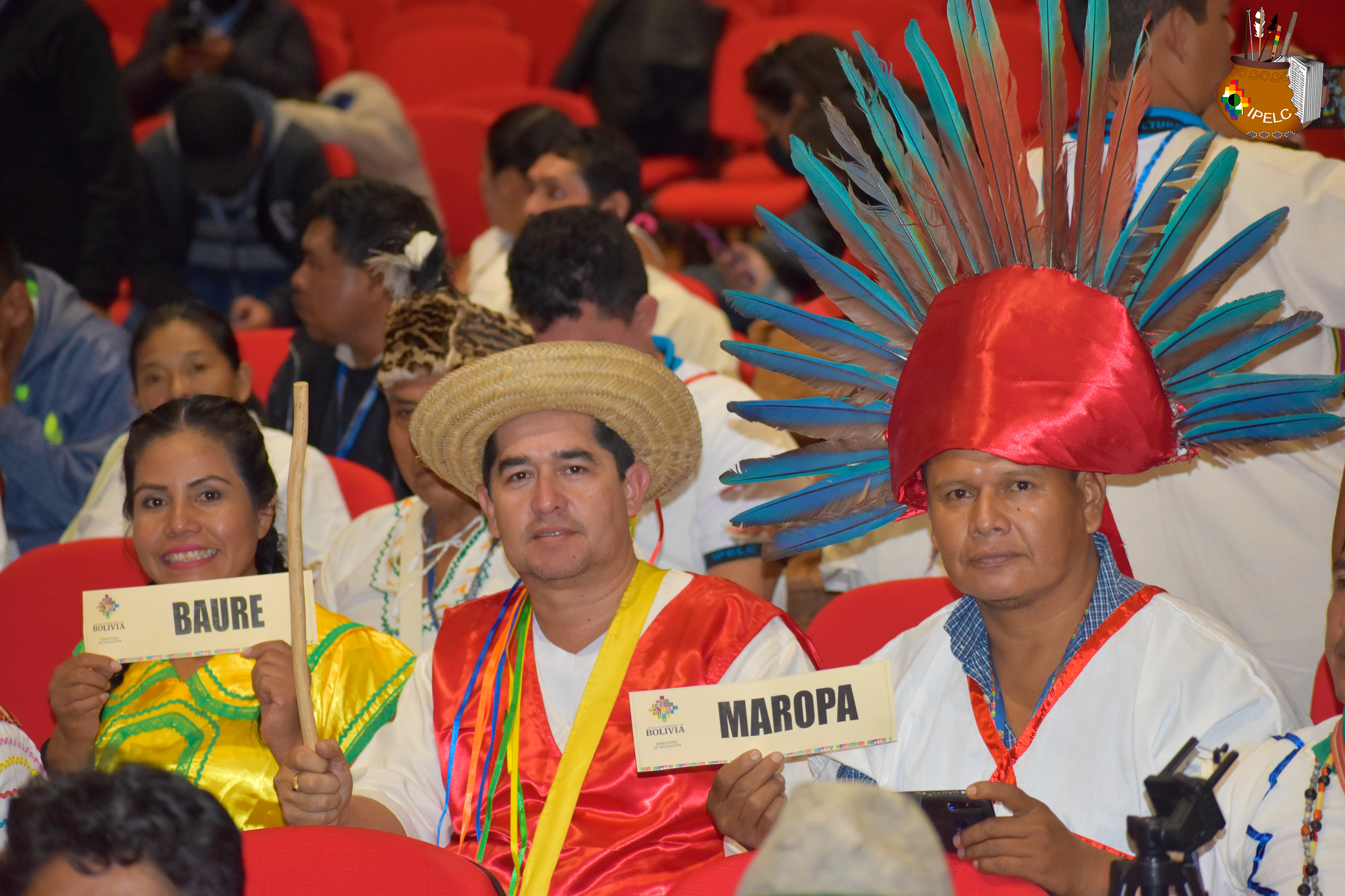 Imagen Representativa IPELC